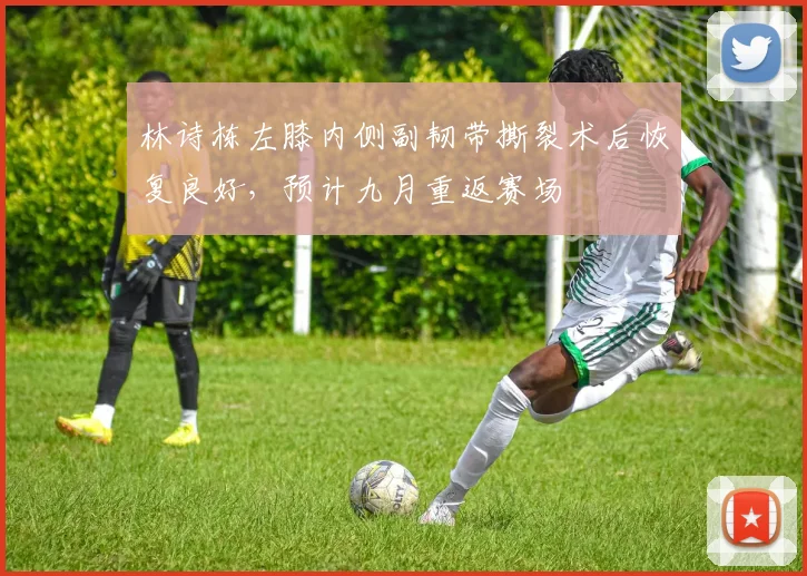 林诗栋左膝内侧副韧带撕裂术后恢复良好，预计九月重返赛场
