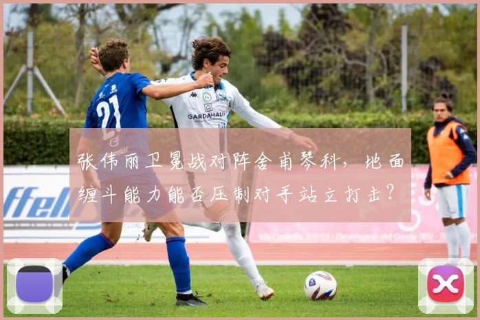 张伟丽卫冕战对阵舍甫琴科，地面缠斗能力能否压制对手站立打击？